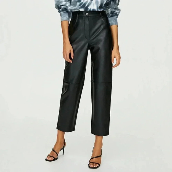 Aritzia Wilfred Free Oracle Pants High Rise Leather straight balloon leg brown - Picture 6 of 16